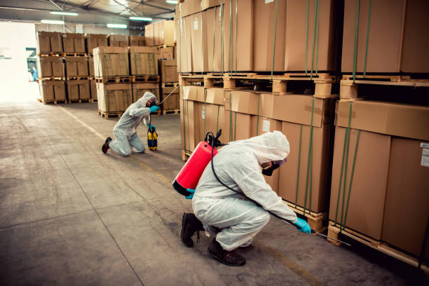 Trusted Orlovista, FL Pest Control Experts