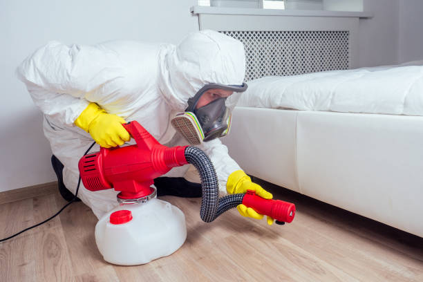 Best Pest Control Treatment  in Orlovista, FL