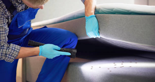 Best Best Pest Control Companies  in Orlovista, FL